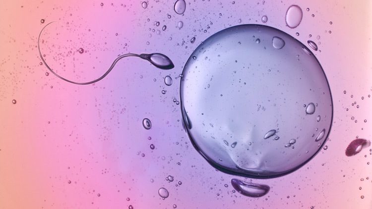 Why UK Couples Choose IVF Treatment