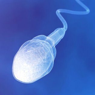 Sperm Donation in Cyprus