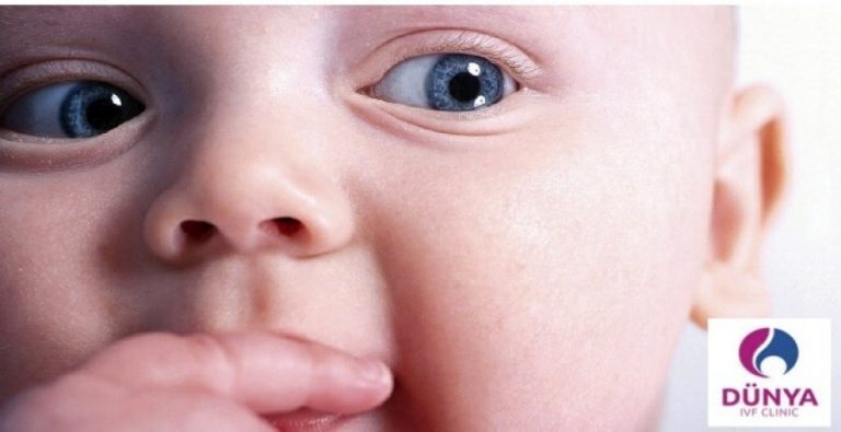 Yumurta Nakli ile Hamile Kalanlar Kıbrıs Dünya Tüp Bebek Merkezi