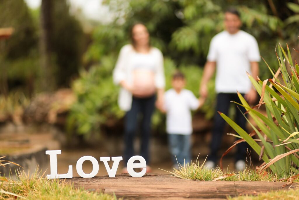 Yumurta Bağışı: Kabule Doğru 1 Pregnant Woman 1910312 1920