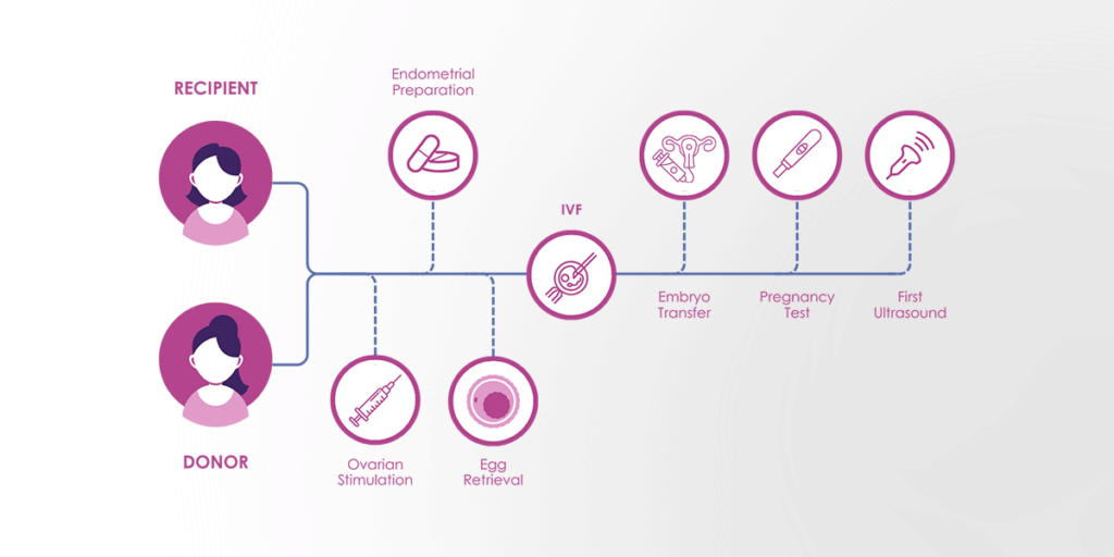 Preparation For Egg Donation Pregnancy