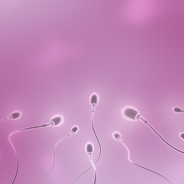 What Is Sperm Donation