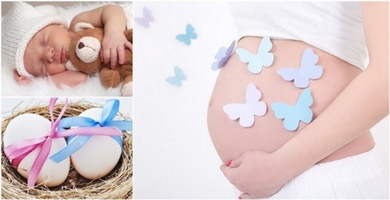 Yumurta Nakli Nasıl Yapılır 768x395